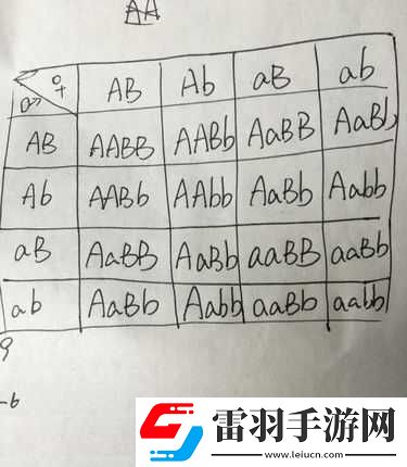 AABB與AAAA的區(qū)別據(jù)說能找到齊全的視頻資源