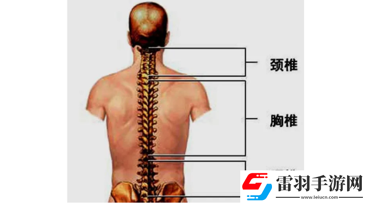 頸腰挺過(guò)那層薄膜
