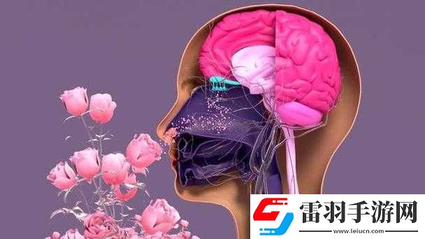 銅銅銅銅銅銅好多疼在線觀看