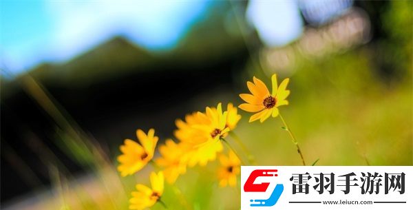 亞洲一線產區(qū)二線產區(qū)地圖