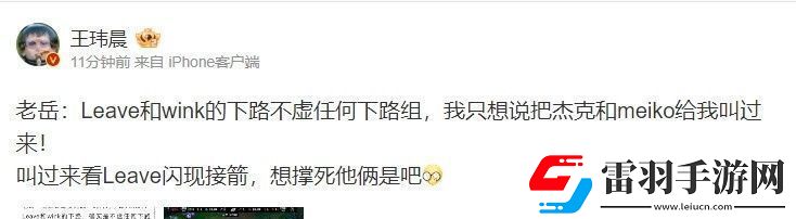 回旋鏢來咯！媒體人銳評老岳說Leave強