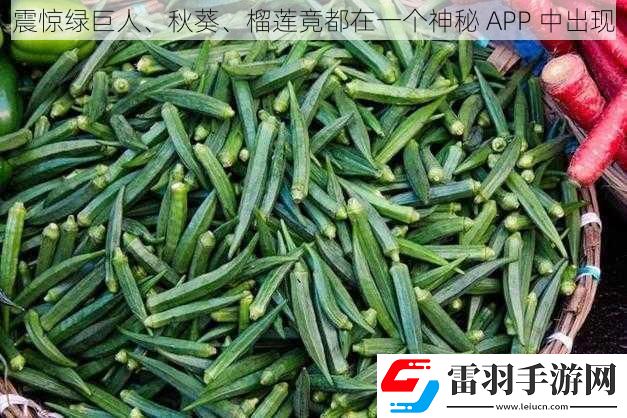 震驚綠巨人、秋葵、榴蓮竟都在一個神秘