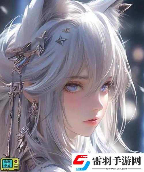 暗衛(wèi)營大型HPN