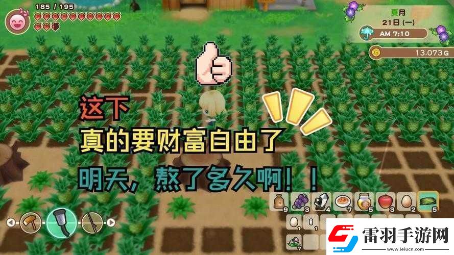 牧場(chǎng)物語(yǔ)重聚礦石鎮(zhèn)