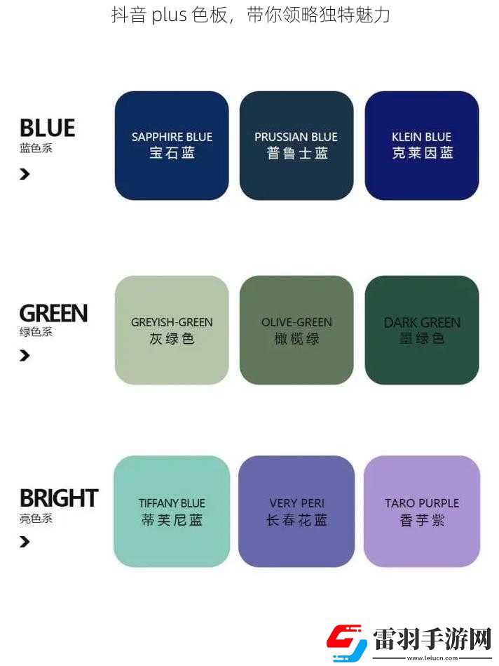 抖音plus色板帶你領略獨特魅力