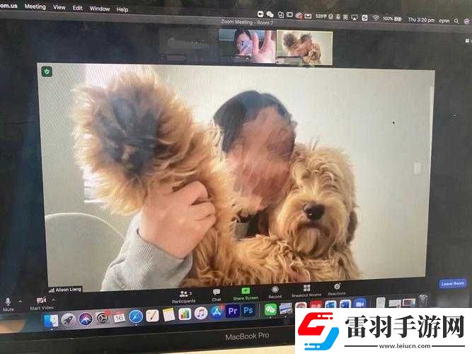 狗Zoom和人類Zoom哪個(gè)好