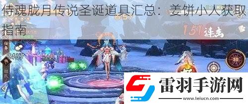 侍魂?yáng)V月傳說(shuō)圣誕道具匯總