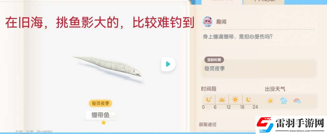 心動(dòng)小鎮(zhèn)奇靈季新增魚(yú)類(lèi)收集攻略