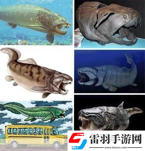 得到超級(jí)肉禽系統(tǒng)的紫嶺紅山有什么特別之處