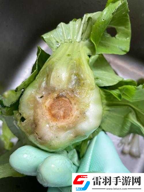 小東西好幾天沒(méi)弄了還能吃嗎