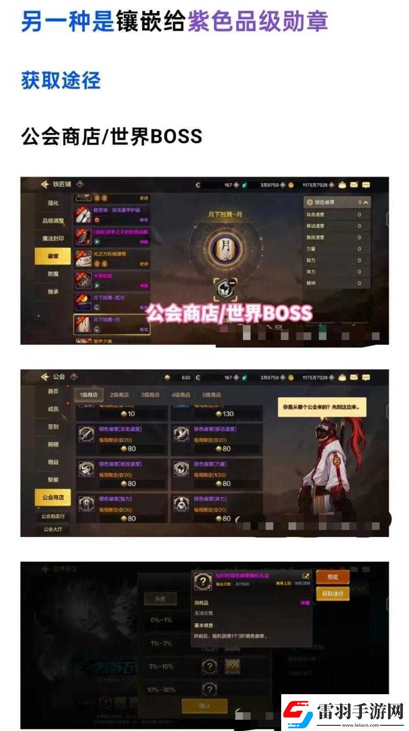 關(guān)于DNF手游徽章獲取攻略的全面解析與實(shí)用指南