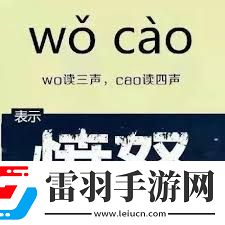 網(wǎng)絡熱詞