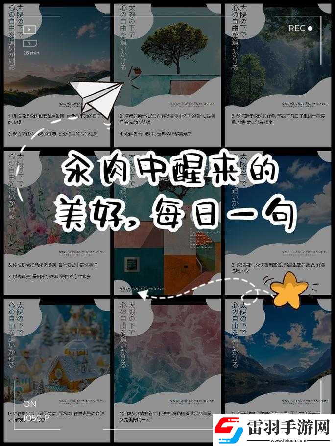 每天在汆肉中醒來軍里