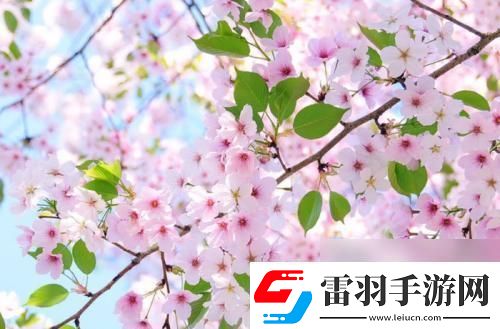300好感原來你是個“玩弄”人心的家伙！