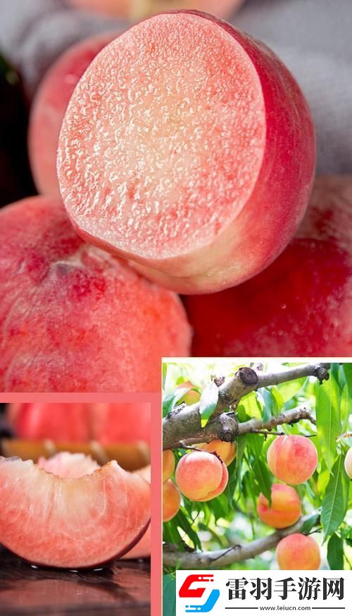 桃醉意國(guó)游戲攻略界的新晉網(wǎng)紅！