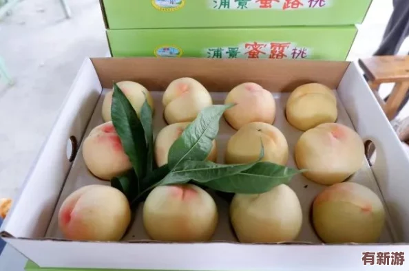 一區(qū)二區(qū)三區(qū)水蜜桃＂熱銷市場(chǎng)消費(fèi)者紛紛追捧其獨(dú)特口感與優(yōu)質(zhì)品質(zhì)成為夏季水果新寵