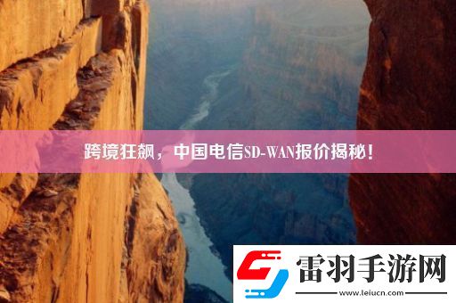 跨境狂飆中國(guó)電信SDWAN報(bào)價(jià)揭秘！