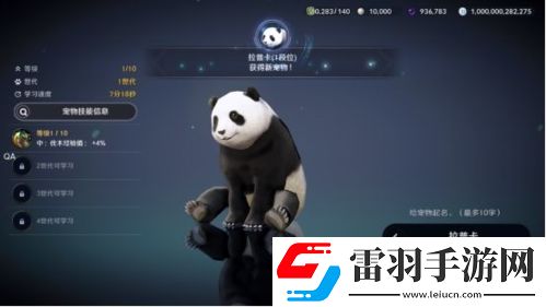 黑色沙漠手游熊貓任務(wù)怎么做