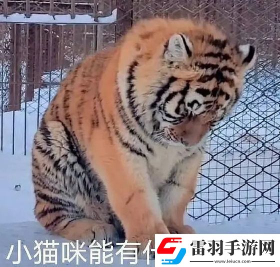 能有什么壞心眼呢是什么梗絡(luò)用語