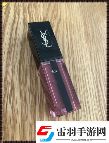 “YSL色彩秀T9狂潮來襲！全瘋傳的顛覆性創(chuàng)意”
