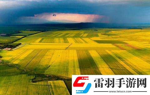 新疆昭蘇縣被譽(yù)為“天馬之鄉(xiāng)”對不對