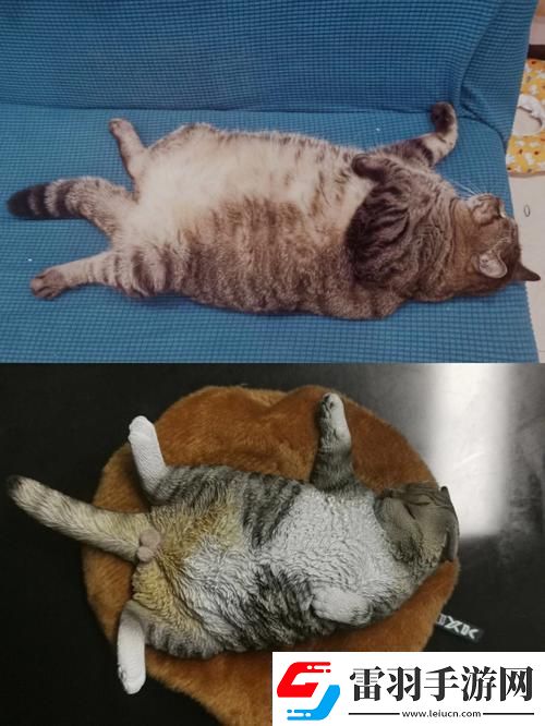 瘋狂科技潮！除了柚子貓和玩偶