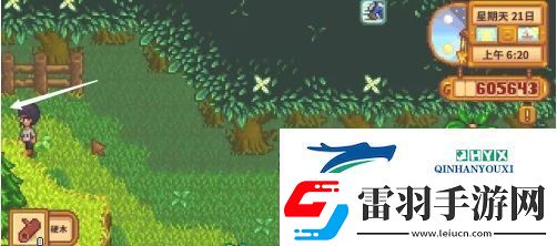 星露谷物語蕨菜怎么獲取