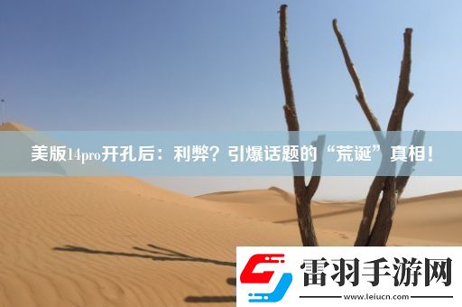 美版14pro開(kāi)孔后