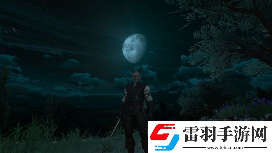 巫師3騎士五德任務怎么觸發(fā)騎士五德的觸發(fā)條件