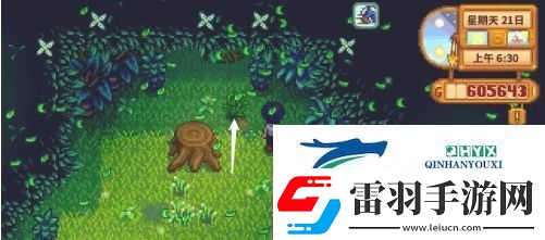 星露谷物語蕨菜怎么獲取