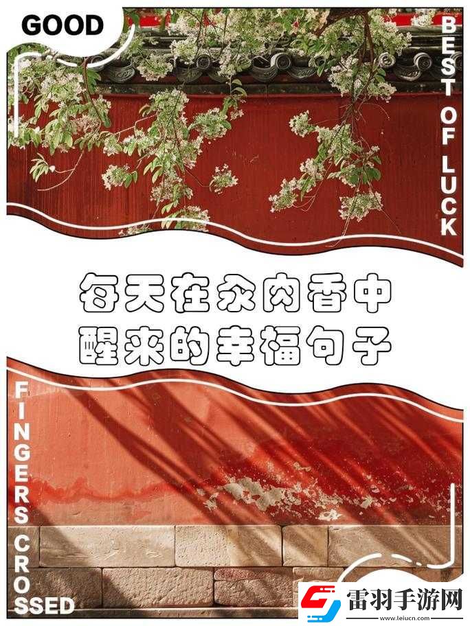 汆肉夢(mèng)中游