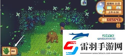 星露谷物語蕨菜怎么獲取