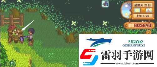 星露谷物語蕨菜怎么獲取
