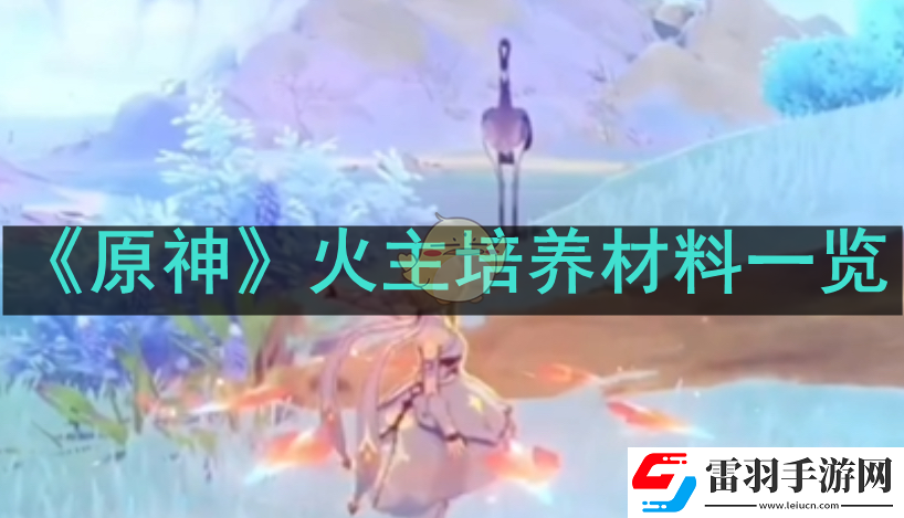 火主需要哪些培養(yǎng)材料
