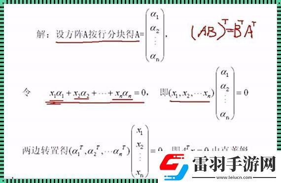 “浪子”行列式