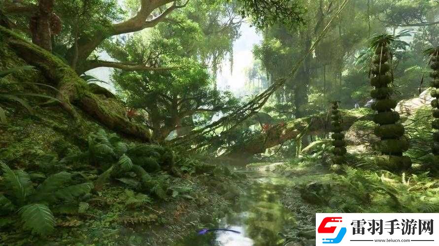 阿凡達邊境森林