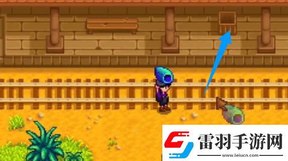 星露谷物語神秘的齊1任務怎么過