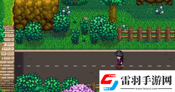 星露谷物語神秘的齊1任務怎么過