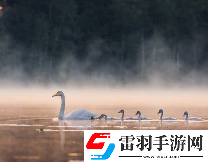 很有詩(shī)意的勵(lì)志空間說(shuō)說(shuō)認(rèn)準(zhǔn)的路就別問(wèn)多遠(yuǎn)
