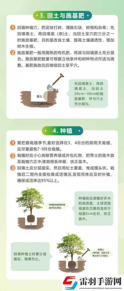 老農(nóng)種樹經(jīng)驗分享