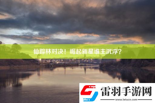 仙蹤林對決！崛起新星誰主沉浮