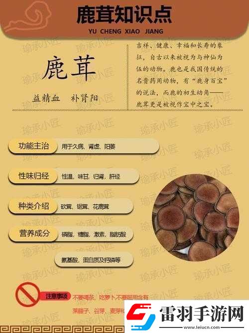 江湖鹿茸藥材獲取攻略