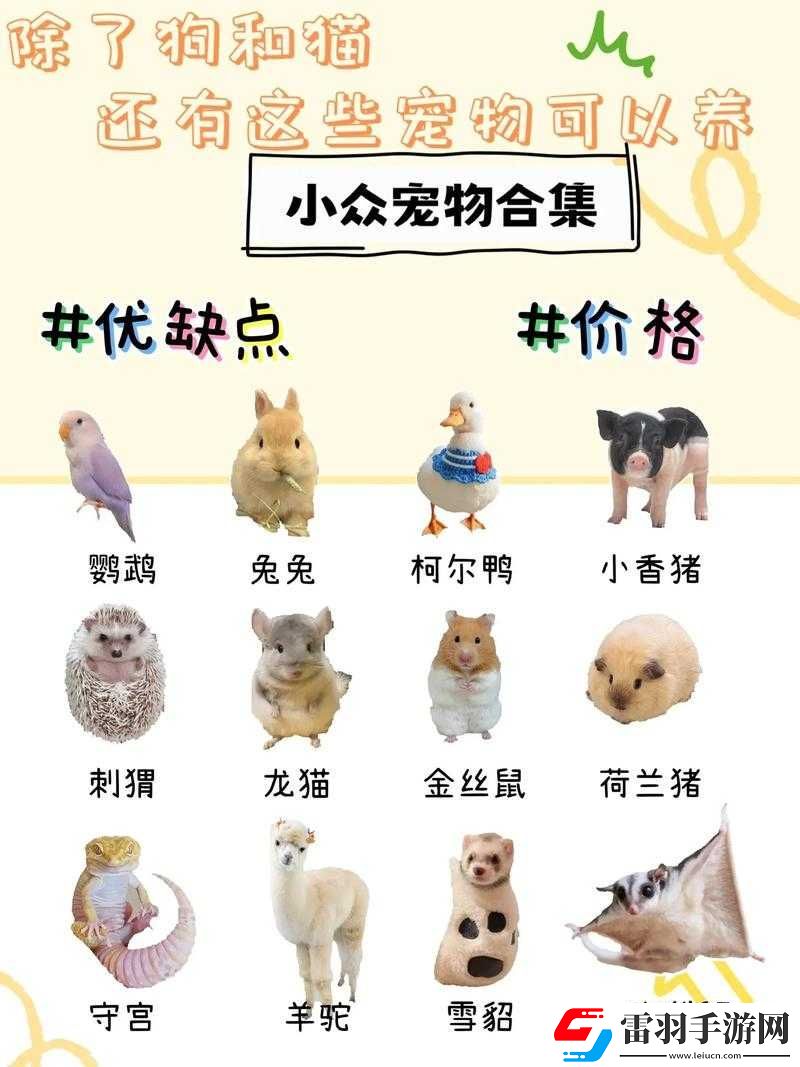 如果的世界