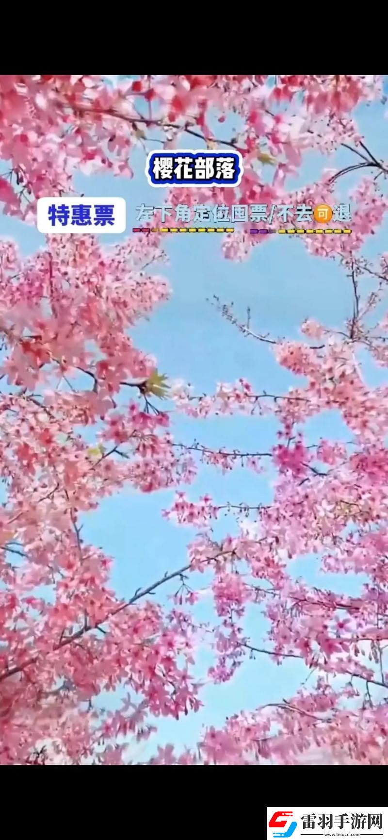 櫻花官方官入口頁(yè)