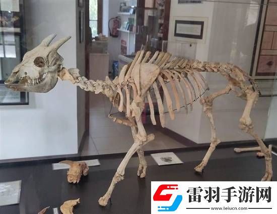 獨特的“冷血山羊”長著一張人臉