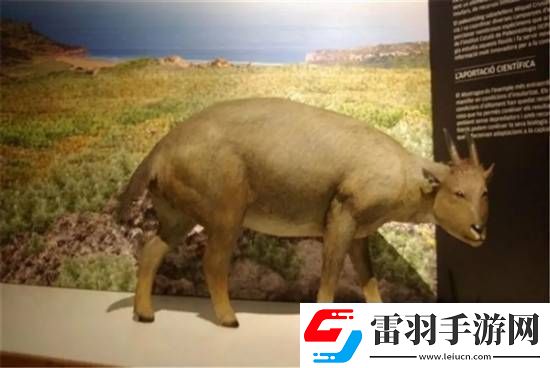 獨特的“冷血山羊”長著一張人臉