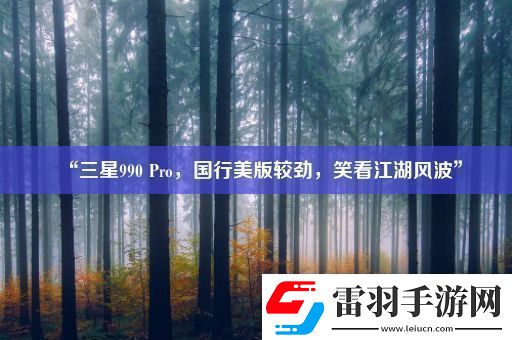 “三星990Pro國行美版較勁笑看江湖風(fēng)波”