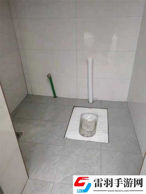 國內(nèi)溝廁**在線觀看