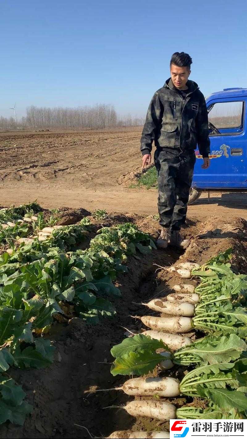 免費(fèi)拔蘿卜直播怎么賺錢(qián)