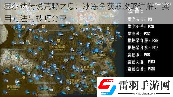 塞爾達(dá)傳說荒野之息